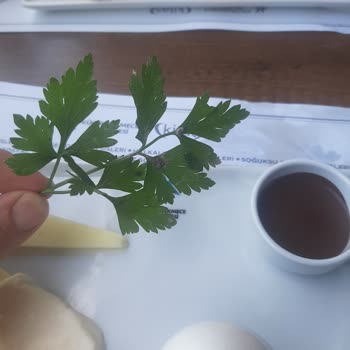 Selçuklu Sosyal Tesisleri Küçükçekmece Belediyesi Selçuklu Sosyal Tesislerinin Saçma Tutumu