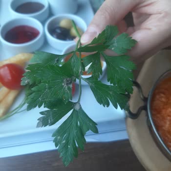 Selçuklu Sosyal Tesisleri Küçükçekmece Belediyesi Selçuklu Sosyal Tesislerinin Saçma Tutumu