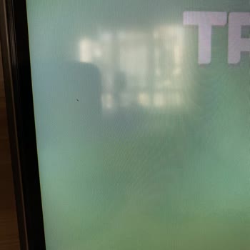 PHILIPS TV Philips 55pus8108 Yatay Çizgi Oluştu 20 Günlük TV