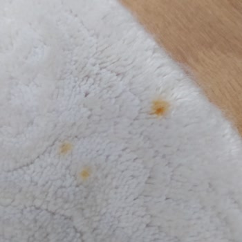 Antik Halı Yıkama Yıkanmış Halılarda Çamur ve Pas Lekesi