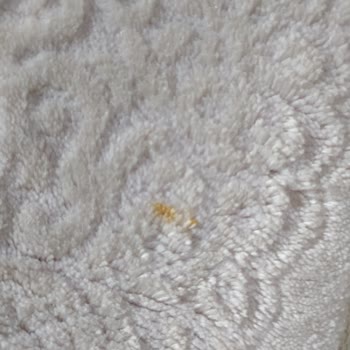 Antik Halı Yıkama Yıkanmış Halılarda Çamur ve Pas Lekesi