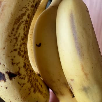 Migros Özensiz Ve Kötü Hizmet, Aşırı İlgisizlik