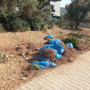 Didim Belediyesi Akbük Yol Kenarındaki Yanıcı Çöpler