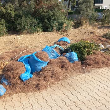 Didim Belediyesi Akbük Yol Kenarındaki Yanıcı Çöpler