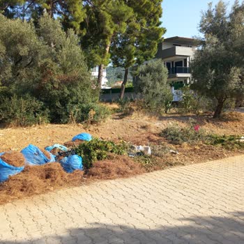 Didim Belediyesi Akbük Yol Kenarındaki Yanıcı Çöpler