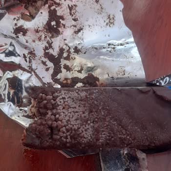 Eti Gıda Eti Karam Ürününün Mantarlanması