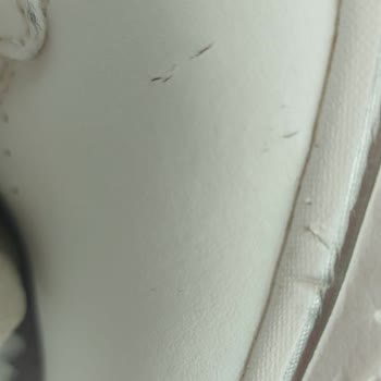 Skechers Firmasının Müşterilerine Yaşattığı Mağduriyet