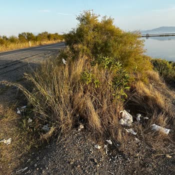 Çiğli Belediyesi Kuş Cenneti Çöpe Döndü