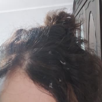 Palette Tarihi Geçik Boya Satan BİM