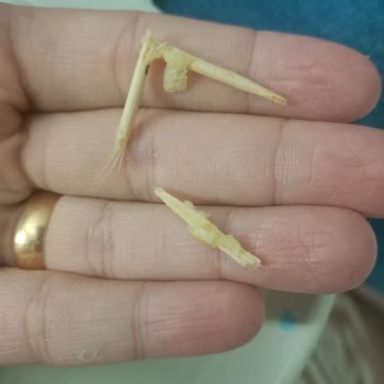 A101 Samba Pesto Cips Kurdan Çıktı!