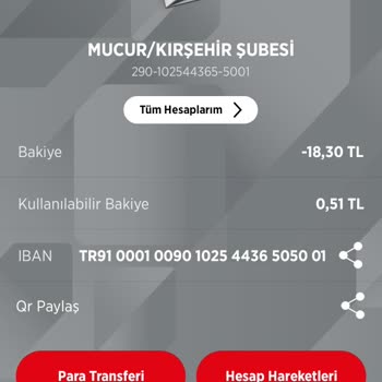 Ziraat Bankası Bakiye - Düşme Sorunu