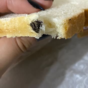 Uno Ekmek Tost Ekmeği İçinden Siyah Bir Şey Çıkması