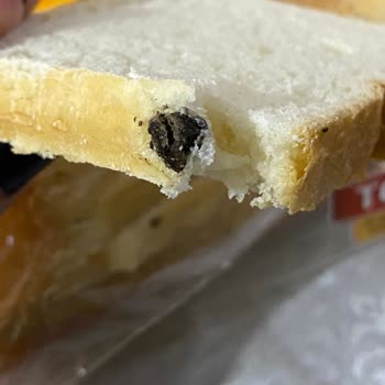 Uno Ekmek Tost Ekmeği İçinden Siyah Bir Şey Çıkması