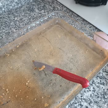 Bosch Fırın Almaya Değer Mi?