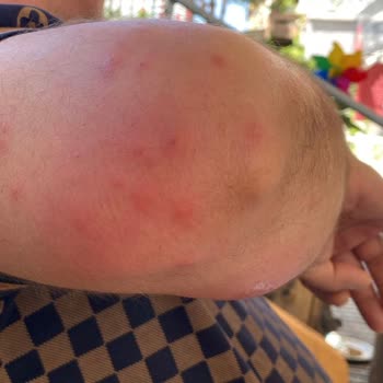 Walk In Hotels İzmir'deki Konaklama Deneyimi