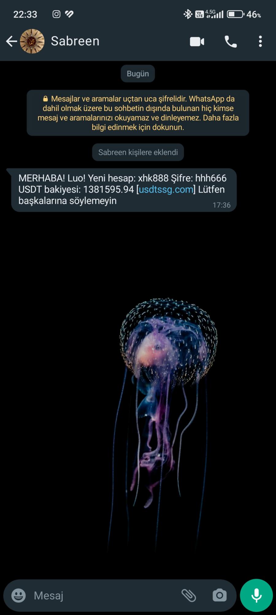 Usdtssg.com Sahte Bitcoin Hesabı - Şikayetvar