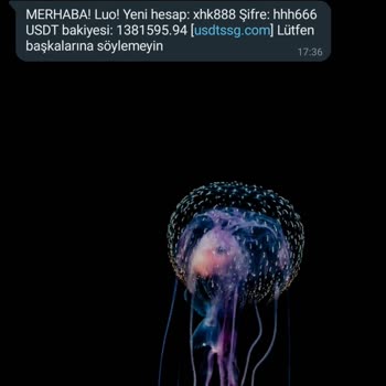 Usdtssg.com Sahte Bitcoin Hesabı