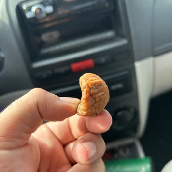 Migros'tan Aldığım Kuru İncir İçi Böcekle Dolu Çıktı.