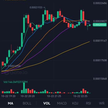 Paribu'da Raca Coin Hesabımı Niye Alıyorsunuz?