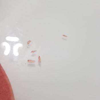 Beşler Salam İçinden Gıdaya Uygun Olmayan Beyaz Parçalar Çıktı!