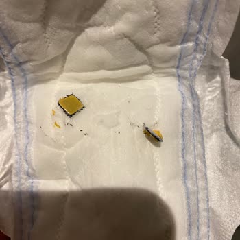 Molped Supernight Ekonomik Pedinde Sağlık Sorunu