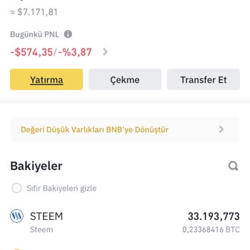 Binance Spot Cüzdanımda Coinler Görünmüyor