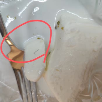 Golf Dondurma Natura Gıdanın Ürettiği Ma Sante Dilimli Kesme Dondurmadan Kıl Çıktı!