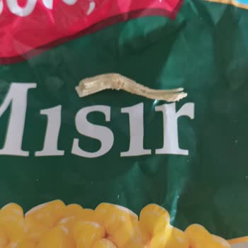 A101'den Aldığım Dondurulmuş Mısır Paketinden Yabancı Madde Çıktı