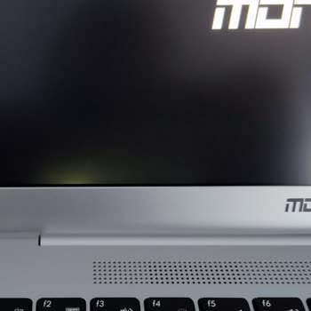 Monster Notebook Işık Sızması Sorunu