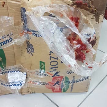 Yurtiçi Kargo Hasar Görmüş Kargo Paketi