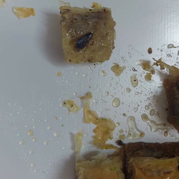 Alimoğlu Baklava Manisa Malta Baklavadan Hamam Böceği Çıktı