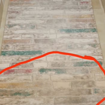 Pasha Halı Yıkama Yolluğu Yıkayamamış!