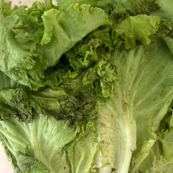 A101 Kapıda Çürük Ve Eksik Ürün