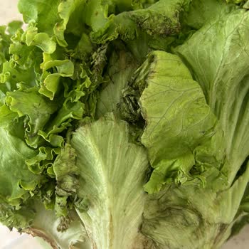 A101 Kapıda Çürük Ve Eksik Ürün