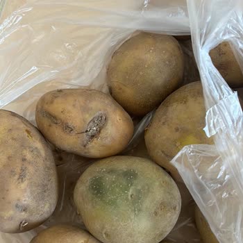 A101 Kapıda Çürük Ve Eksik Ürün