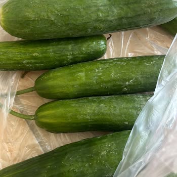 A101 Kapıda Çürük Ve Eksik Ürün