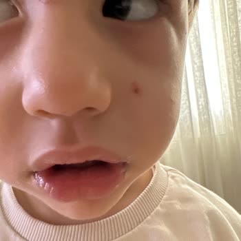 41 Burda Playland Şikayeti