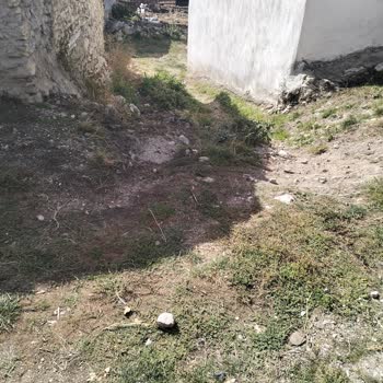 Bursa Büyükşehir Belediyesi Muhtarın İlgisizliği İşini İyi Yapıyor