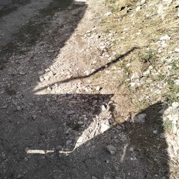 Bursa Büyükşehir Belediyesi Muhtarın İlgisizliği İşini İyi Yapıyor