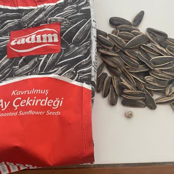 Tadım Marka Ay Çekirdeği İçinden Salyangoz Çıktı