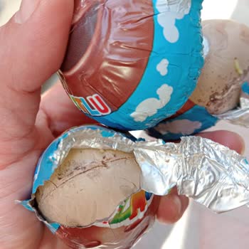 Ozmo Sürpriz Yumurta Kurtlanmış