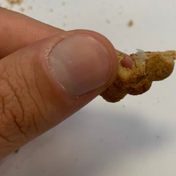 Ülker Probis İçinden Çıkan Plastik