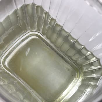 Kuzeyden Su Yemyeşil Yosun Tutması