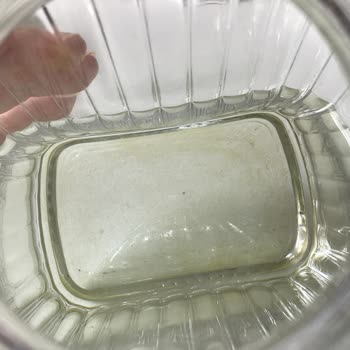 Kuzeyden Su Yemyeşil Yosun Tutması