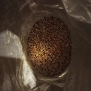 Mutamin.com Mutamin Somonlu Mama Küflendi