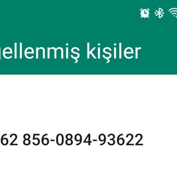 WhatsApp +62 Li Numara