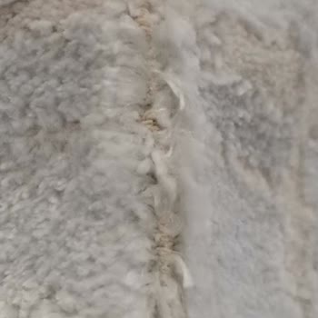 Aspera Halı Her Şey Satana Kadar