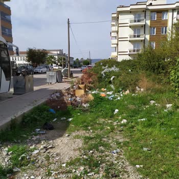 Lapseki Belediyesi Temizlik Ve Çöp Konteyneri