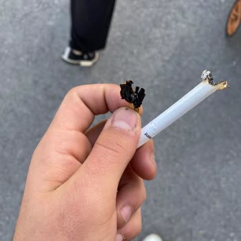 Philip Morris Odun Parçası Çıktı