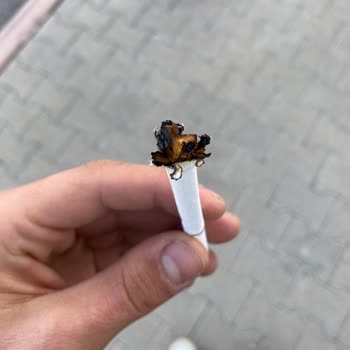 Philip Morris Odun Parçası Çıktı